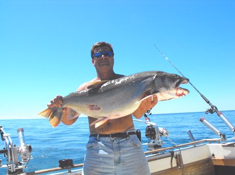 25lb Lake Trout, caught on lake Erie in July of 2010